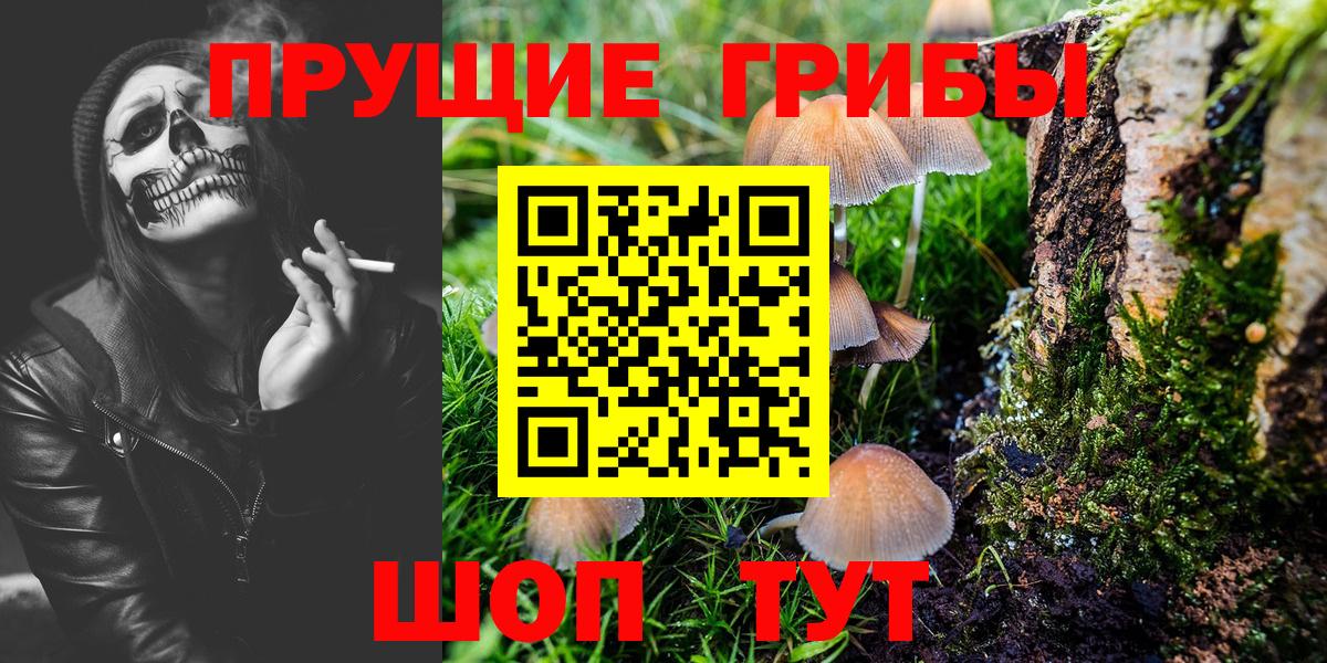 Галлюциногенные грибы Magic Shrooms Алейск