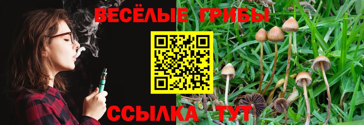Псилоцибиновые грибы Psilocybine cubensis  Вход с VPN  Алейск 
